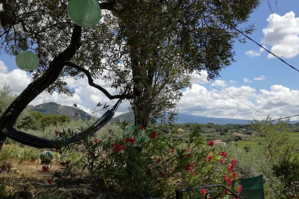 Gite Vue Ventoux Et Vignes! Provence Villa Beaumes-de-Venise Exterior photo